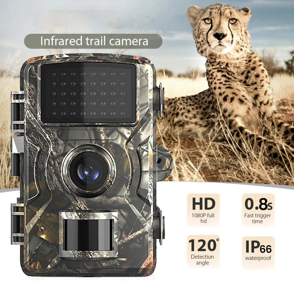 Caméra animalière sans fil photos et vidéos + Carte SD 32Gb OFFERTE