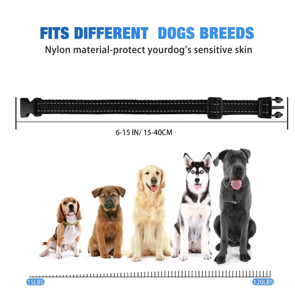 Collier anti-aboiement pour chiens - Non Nocif