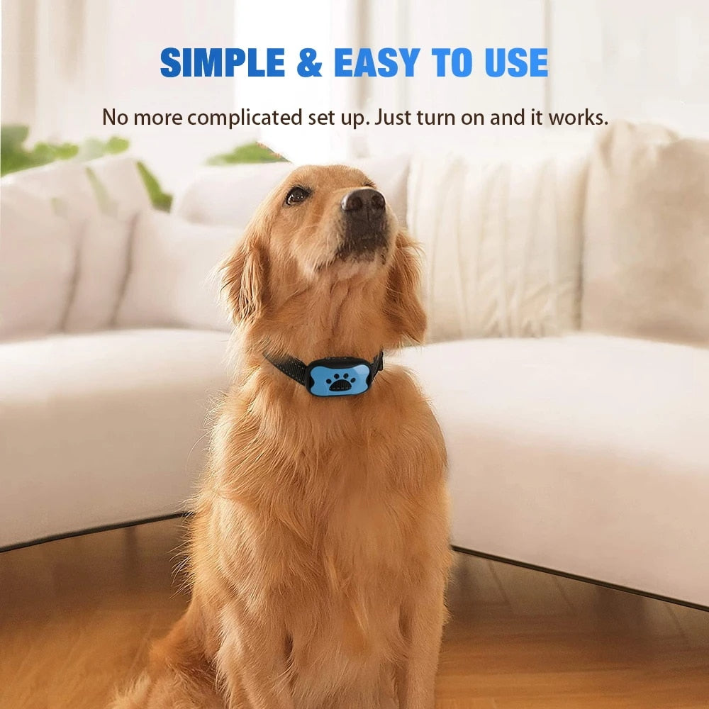 Collier anti-aboiement pour chiens - Non Nocif