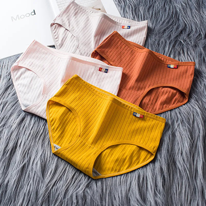 Lot de 3 Culottes côtelées en Coton - Taille haute