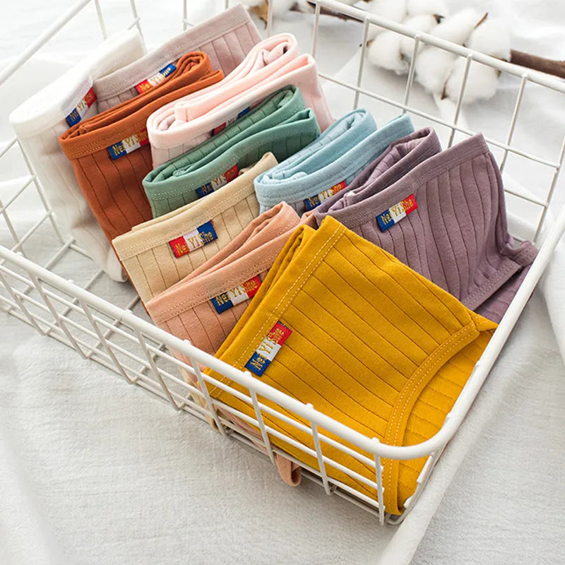 Lot de 3 Culottes côtelées en Coton - Taille haute