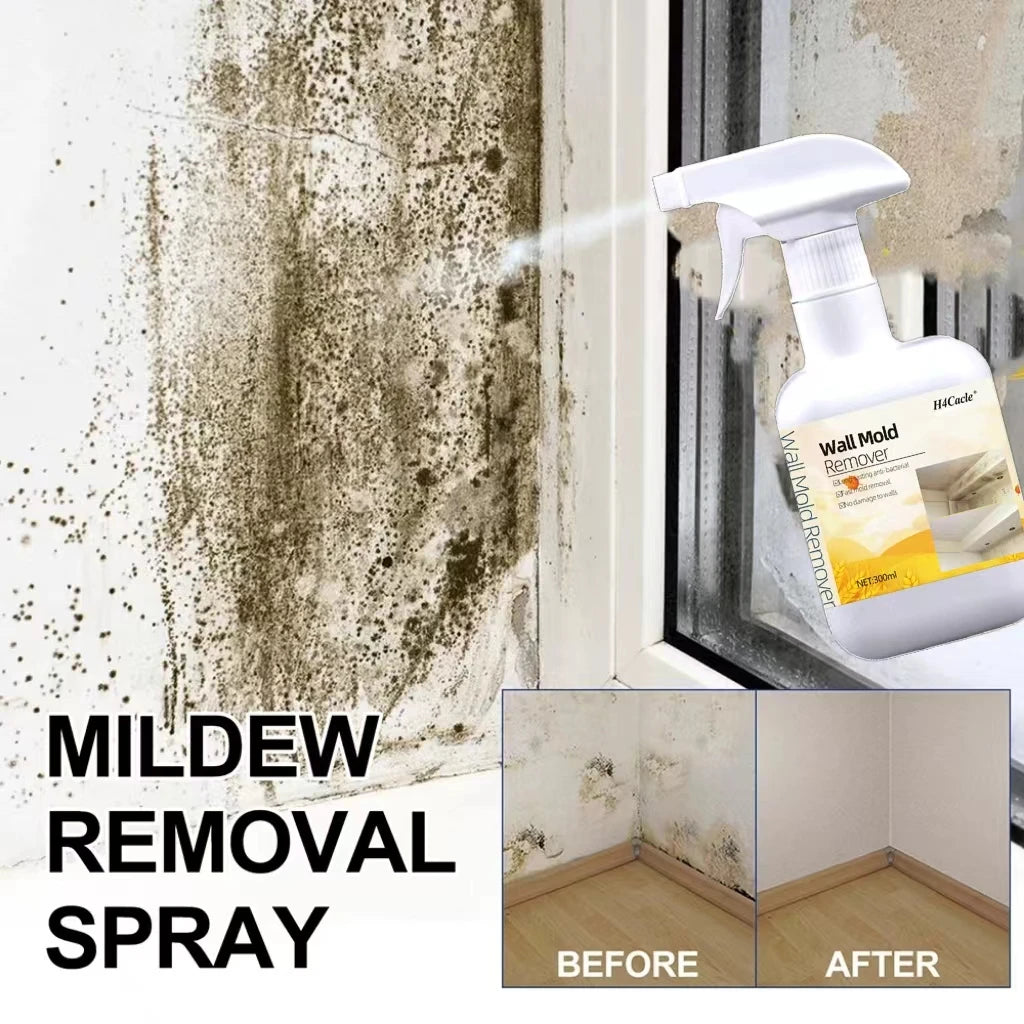 Spray Dissolvant Anti-Moisissure - Prévention des Champigons