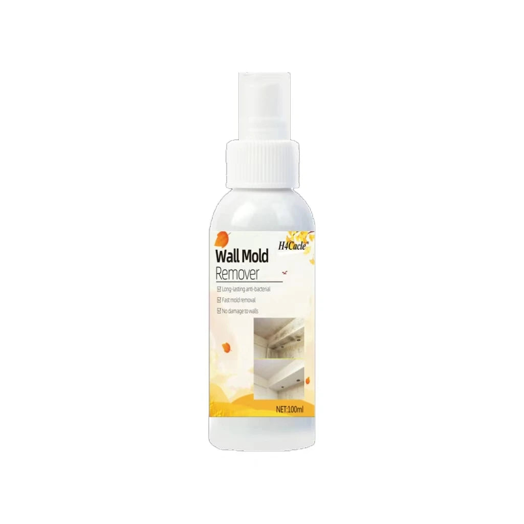 Spray Dissolvant Anti-Moisissure - Prévention des Champigons