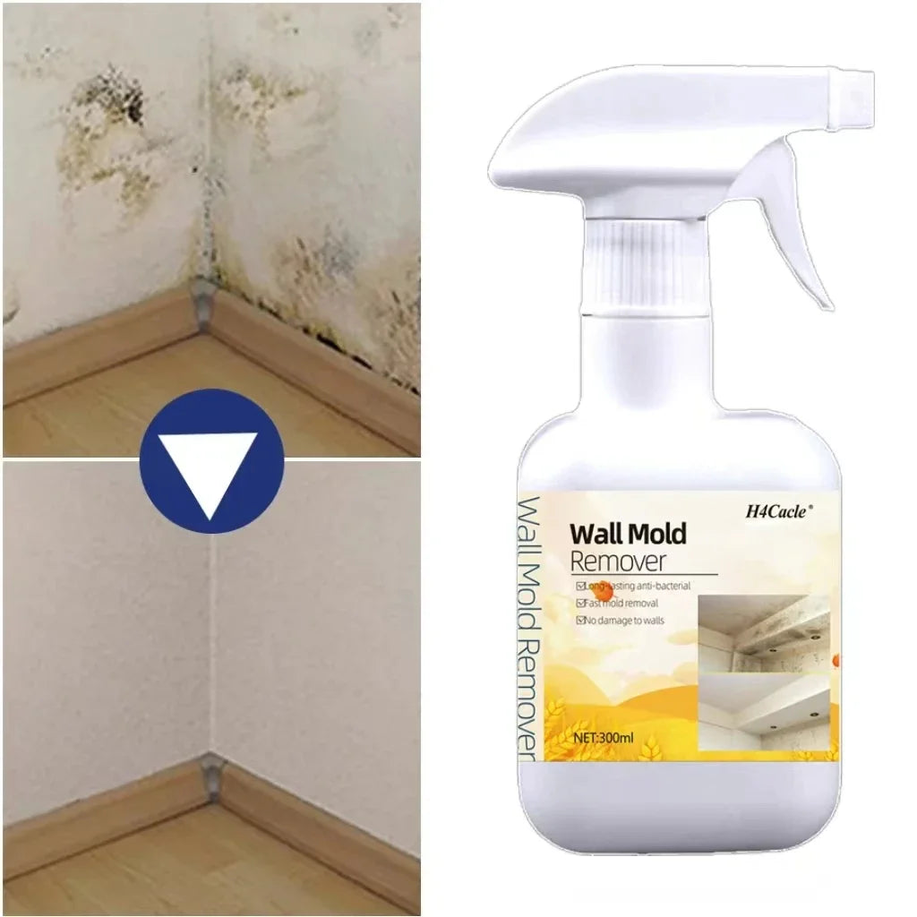 Spray Dissolvant Anti-Moisissure - Prévention des Champigons
