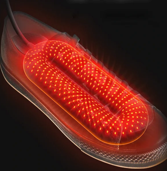 Electric shoe dryer