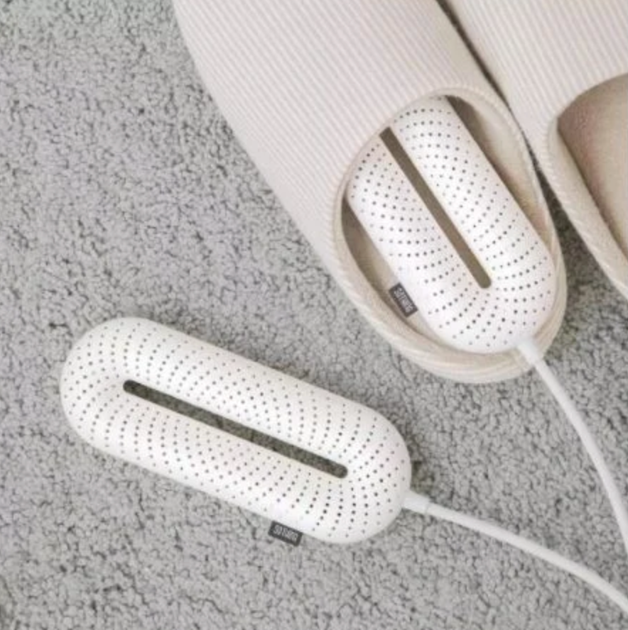 Electric shoe dryer
