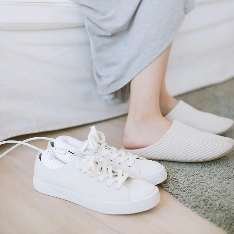 Electric shoe dryer