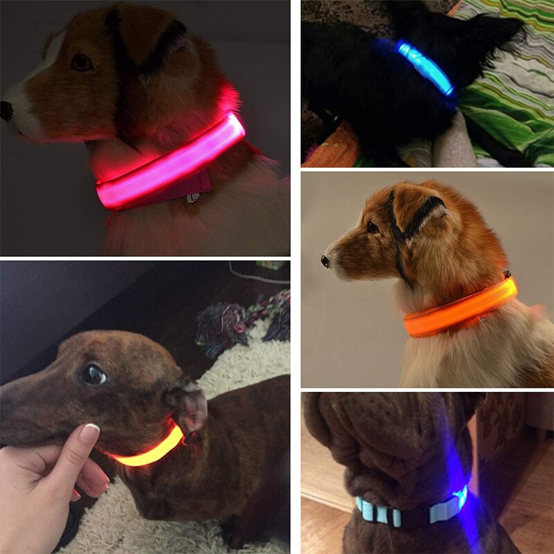 Collier avec éclairage LED waterproof - USB rechargeable