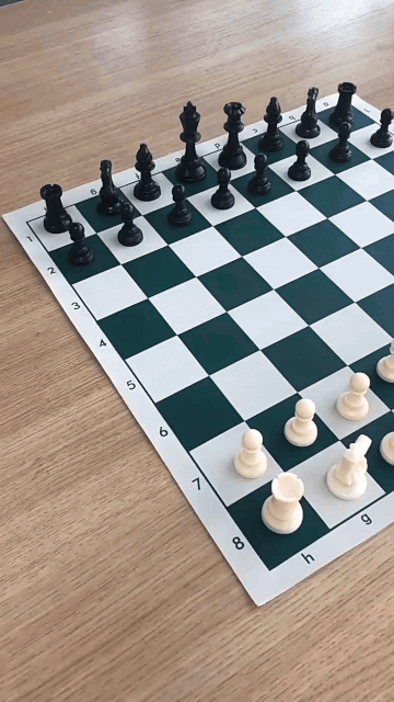 Jeu d'Echecs Portable - Jeu Complet