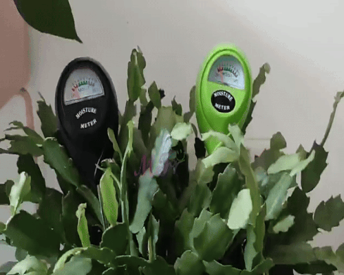 Humidimètre de Sol pour Jardinage