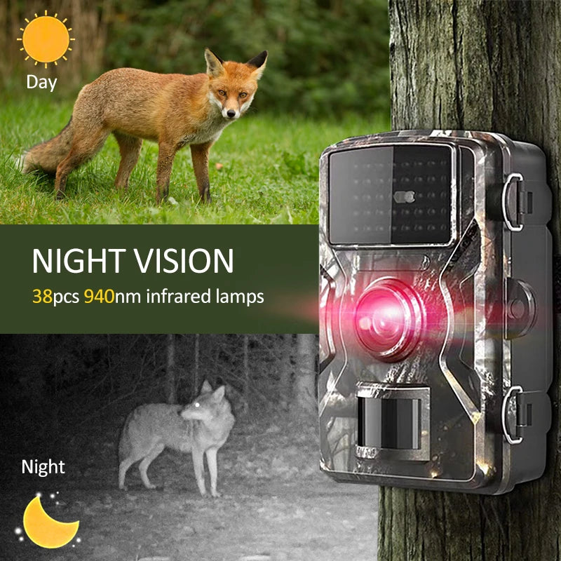 Caméra animalière sans fil photos et vidéos + Carte SD 32Gb OFFERTE