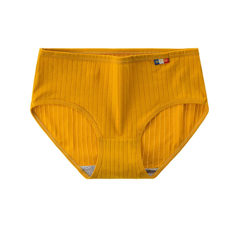 Lot de 3 Culottes côtelées en Coton - Taille haute