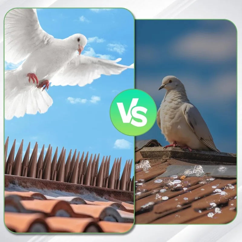 Lot de 5 Pointes Anti-Oiseaux – Dispositif Dissuasif pour Pigeons et Chats, Balcon, Toit, Fenêtre et Clôture