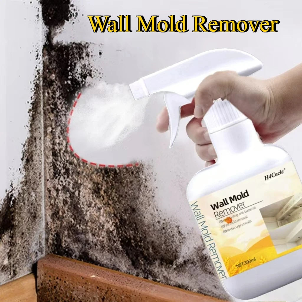 Spray Dissolvant Anti-Moisissure - Prévention des Champigons