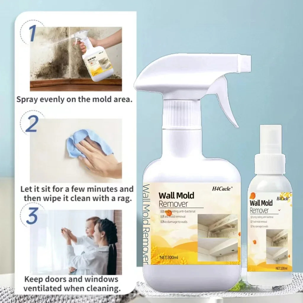 Spray Dissolvant Anti-Moisissure - Prévention des Champigons