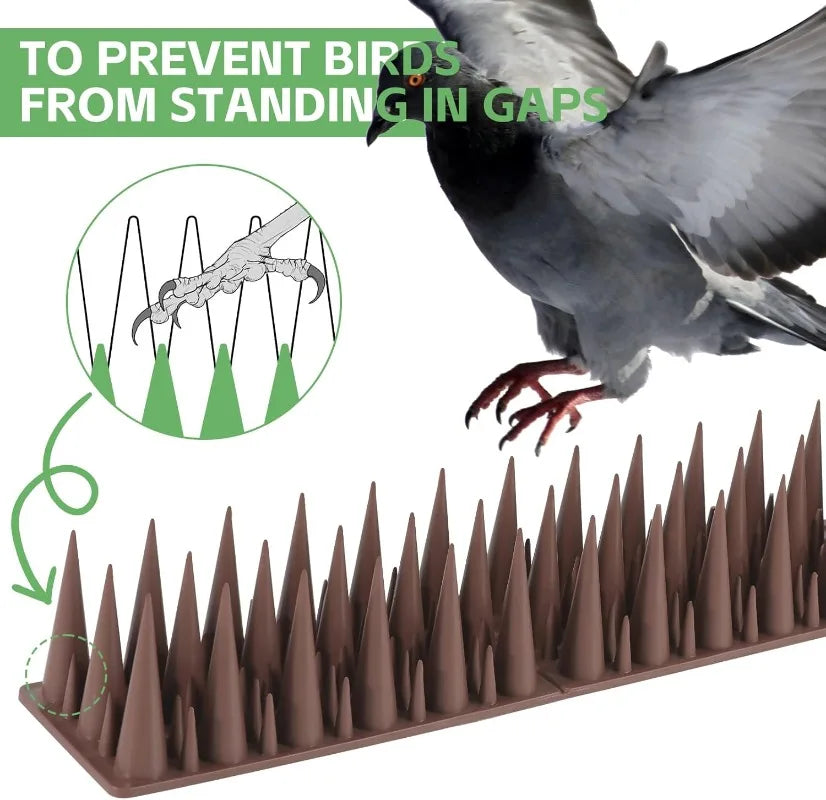 Lot de 5 Pointes Anti-Oiseaux – Dispositif Dissuasif pour Pigeons et Chats, Balcon, Toit, Fenêtre et Clôture