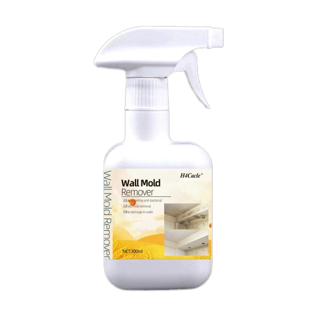 Spray Dissolvant Anti-Moisissure - Prévention des Champigons