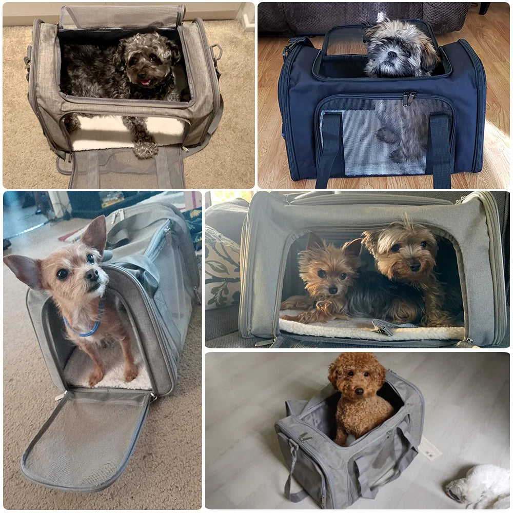 Sac de transport pour animaux de compagnie