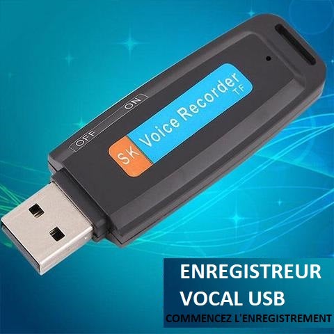 Dictaphone USB + Carte SD 16GB OFFERTE