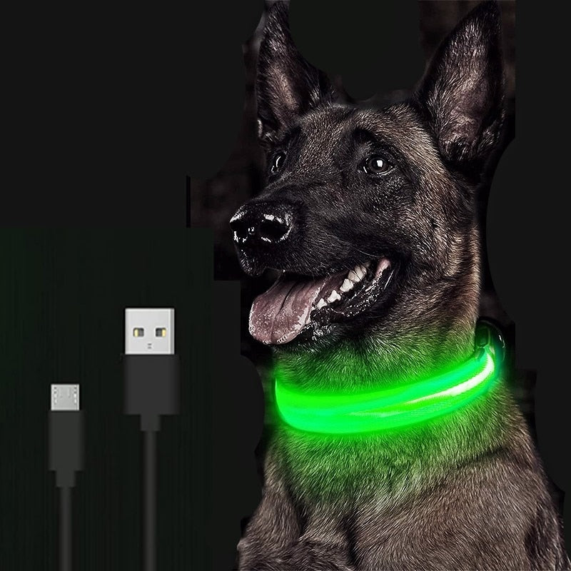 Collier avec éclairage LED waterproof - USB rechargeable